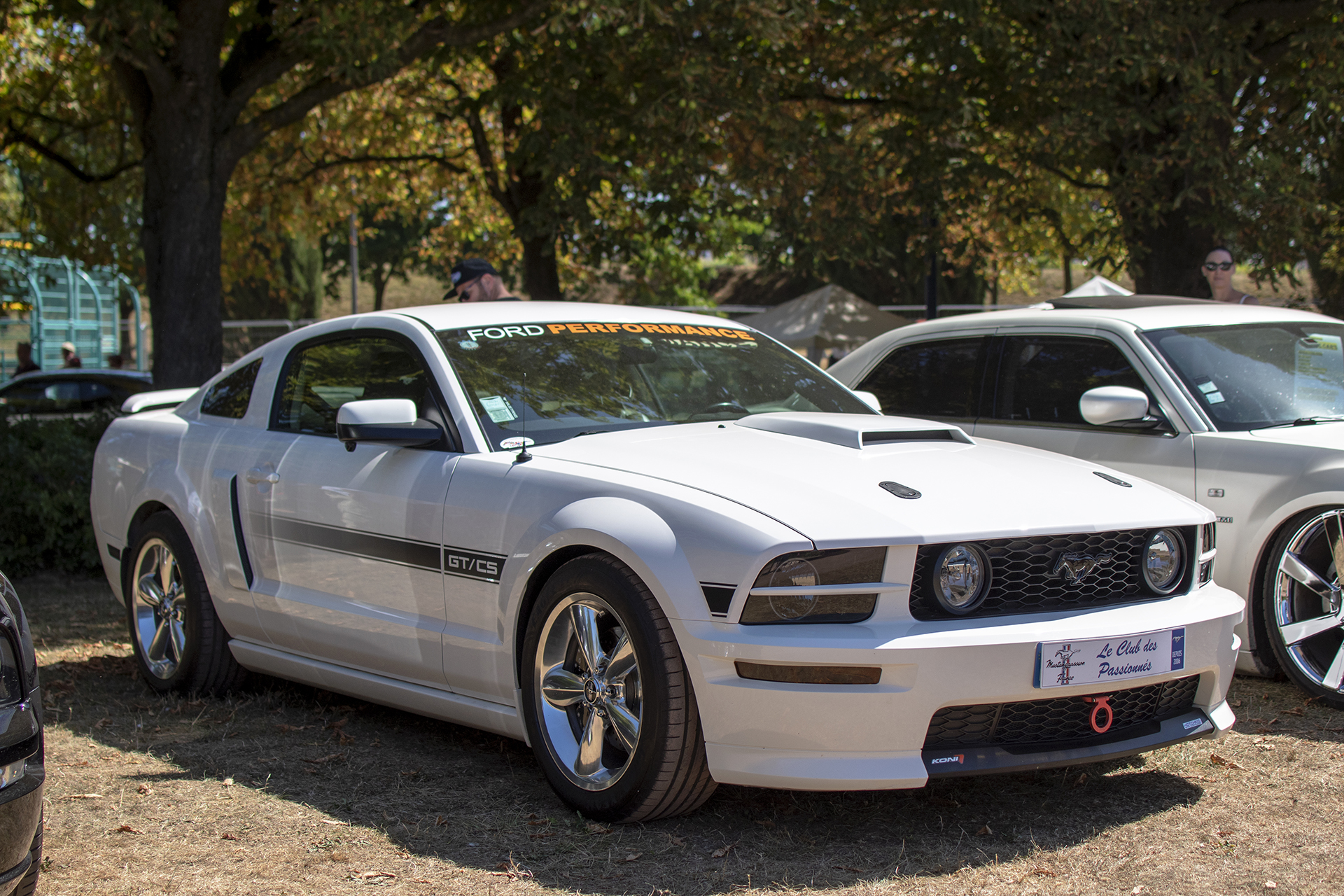 California Special GT/CS 