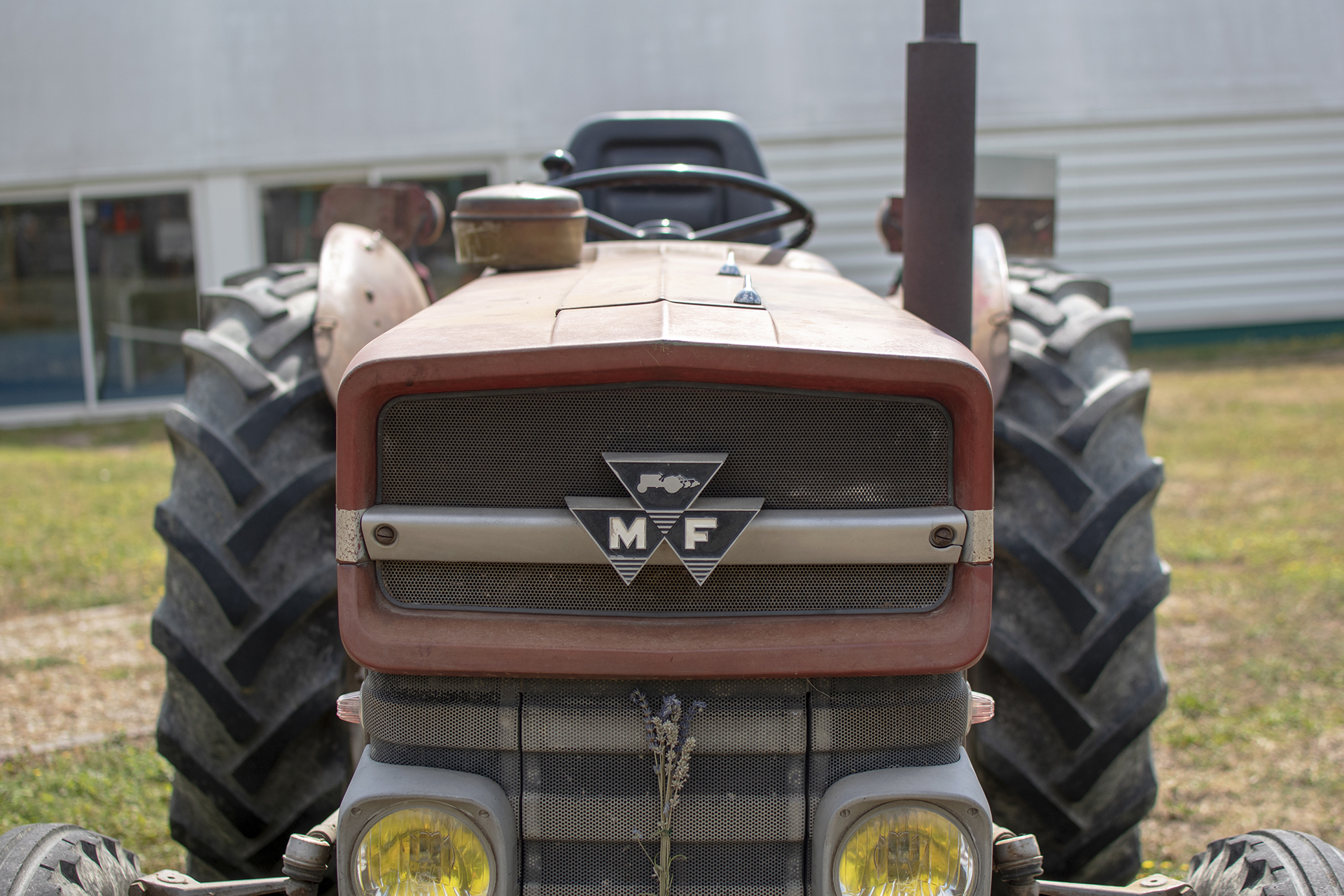 Massey Ferguson 133 - Rassemblement ,Grindorff ,2023