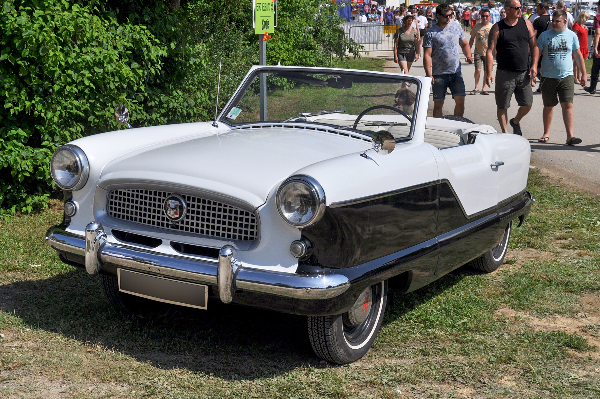 Nash Metropolitan IV 1959 -  Retro Meus'Auto 2018, Lac de la Madine