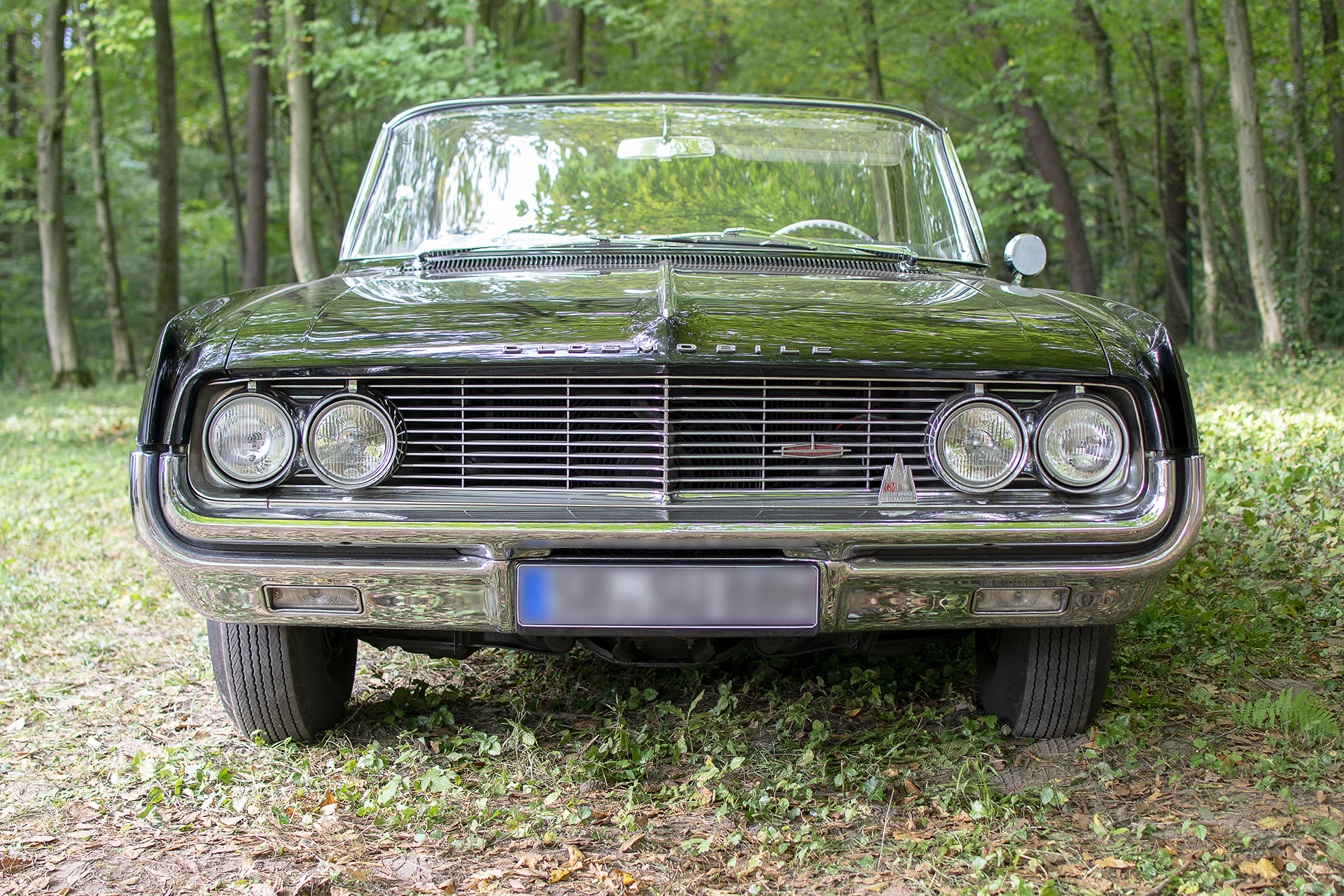 Oldsmobile 88 V front - Automania 2021, Creutzwald, Villa de la Clairière