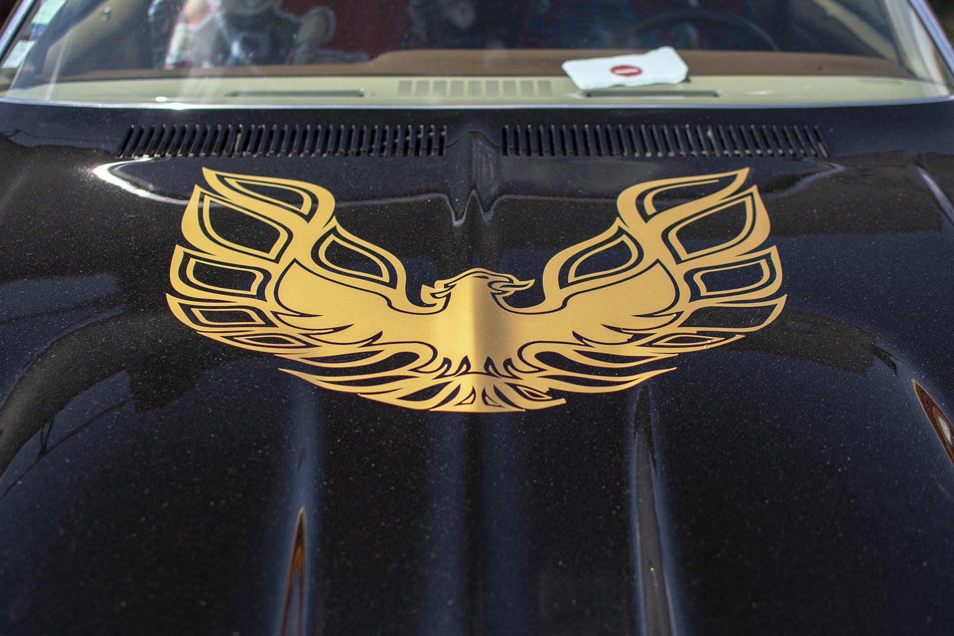 Pontiac Firebird II Trans Am aigle - Rétro Meus'Auto ,2023, Heudicourt, Lac de la Madine