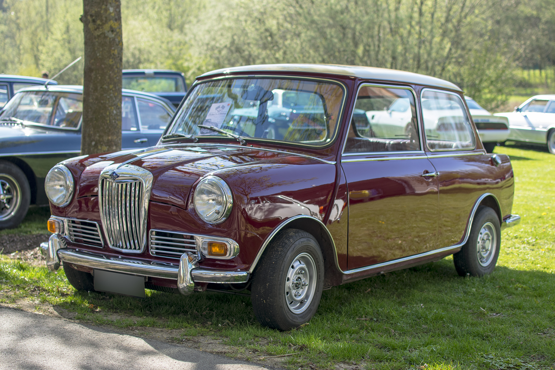 Riley Elf - LOF Oldtimer Breakfast Mamer 2019