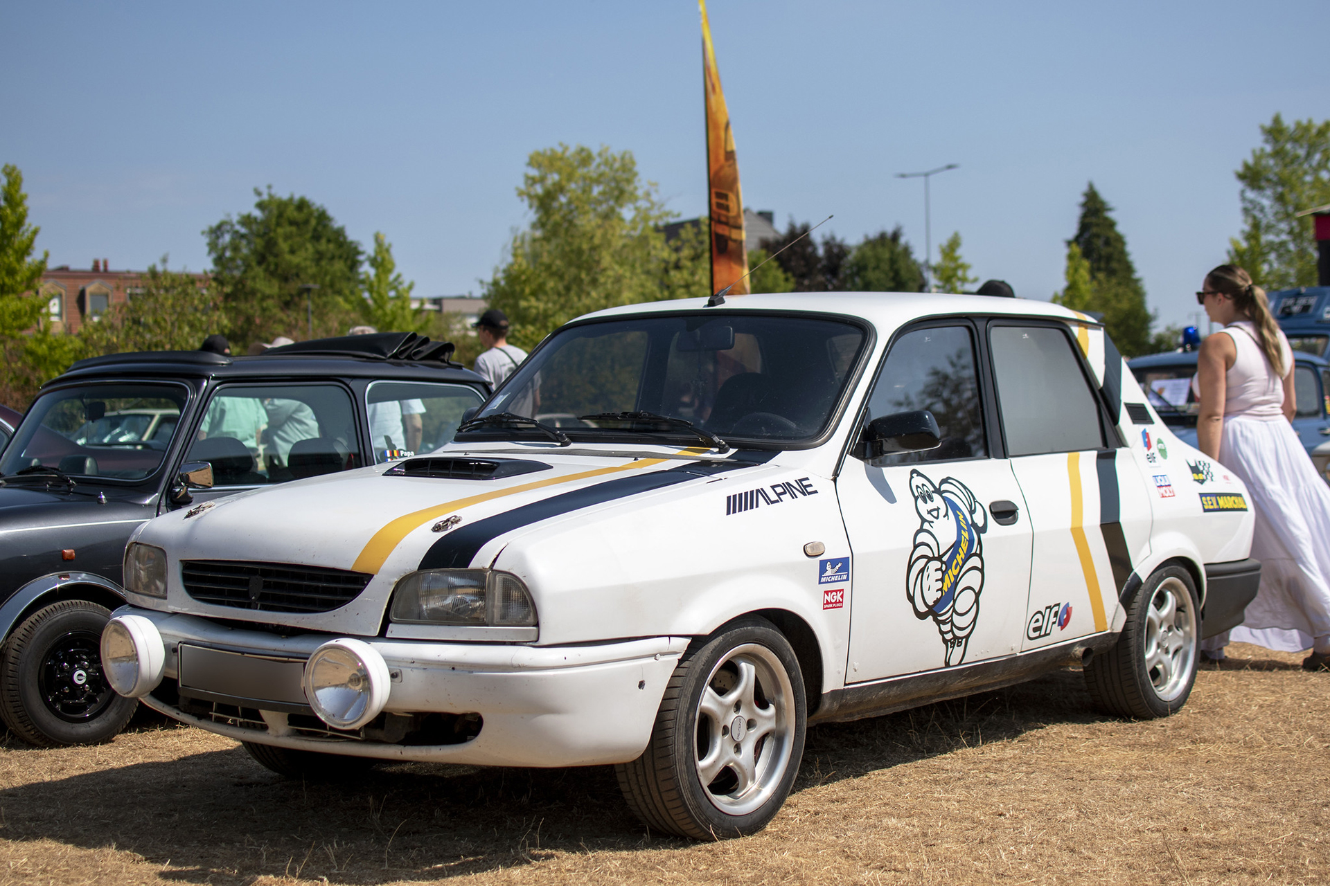 Dacia 1310